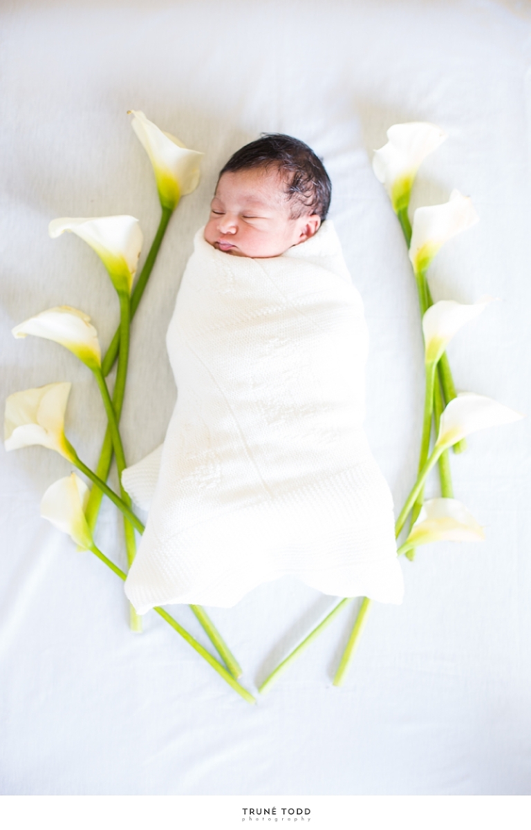 Cape Town newborn photographer-Baby Misha